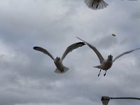 20131012IMG 1088