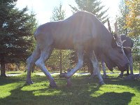 20131013IMG 1327