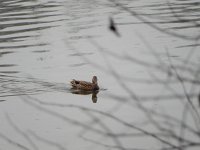DSCN0333