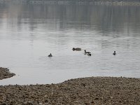 DSCN0347