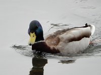 DSCN0395