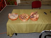 DSCN0841