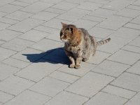 DSCN1518