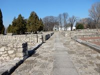 DSCN1553