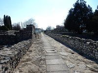 DSCN1686