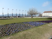 DSCN2418