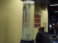 DSCF1583