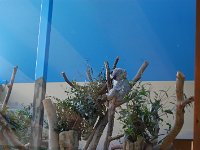 DSC 0704