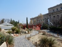 DSCN3274