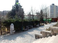 DSCN3410