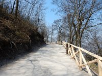 DSCN3475