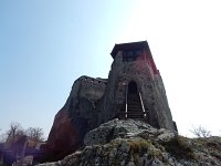 DSCN3559