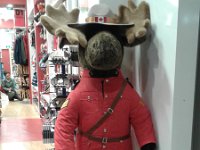 20170321 191530  User comments