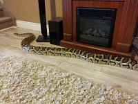 IMG 20170325 144328