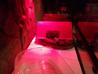 IMG 20170411 202512