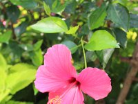 20170916IMG 2398