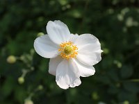 20170916IMG 2492
