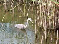 20170916IMG 2509