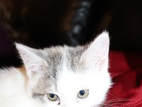 20171016IMG 2688