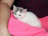 20171016IMG 2698