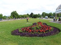 20190621IMG 7972