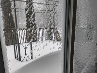 IMG 20220117 102944778 HDR