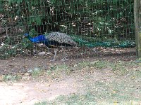 20220725IMG 6561