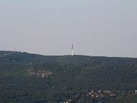 20230819IMG 8804