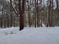 IMG 20250125 140209852 HDR