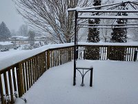 IMG 20250123 104731067 HDR