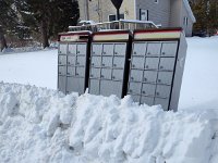 IMG 20250129 135202967