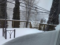 IMG 20250216 115117796 HDR