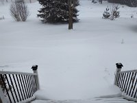 IMG 20250216 115142231