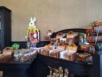 IMG 20250222 082851605 HDR
