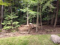 IMG 20250830 132734392 HDR