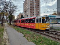 IMG 20251130 140032166 HDR