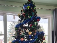 IMG 20251209 094236869 HDR