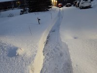 IMG 20260126 071242773